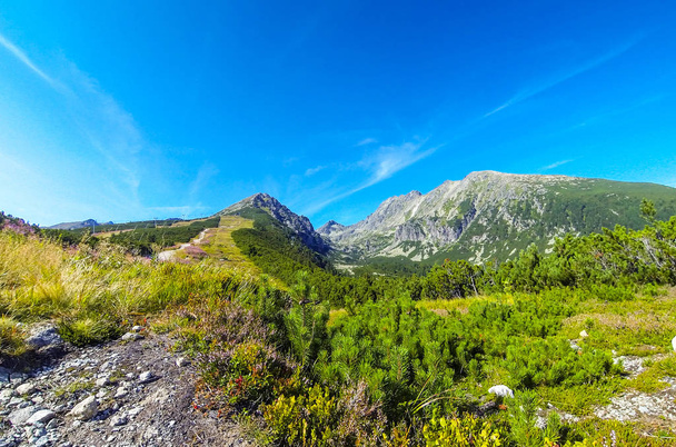 Picturesque summer view of High Tatras mountains, Slovakia - Foto, immagini