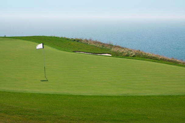 Boule de golf dans un parcours vert et trou
 - Photo, image