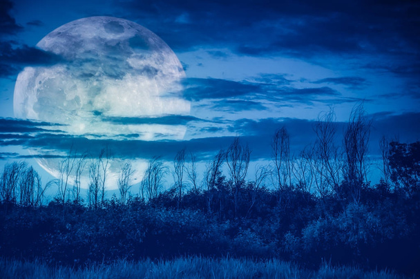 Ciel coloré avec nuageux sombre et grande lune sur la silhouette des arbres
. - Photo, image