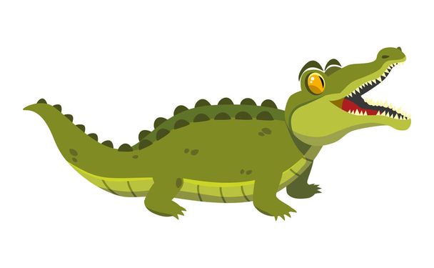 crocodilo verde engraçado em um fundo branco. vetor
 - Vetor, Imagem