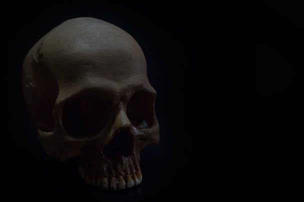 A sötét háttér mintázata a koponya egy csendélet - Fotó, kép