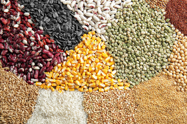 Different cereals and legumes - Foto, afbeelding