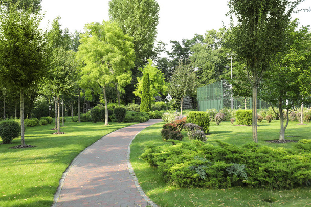 Beautiful green park - Фото, изображение
