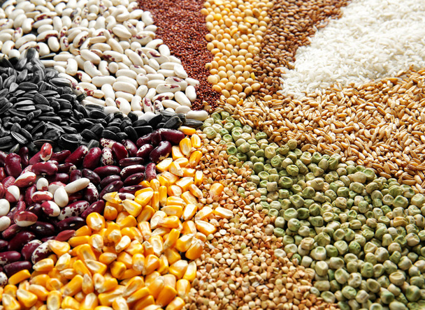 Different cereals and legumes - Фото, изображение