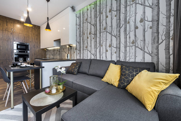 Современный дизайн интерьера небольшой квартиры
  - Фото, изображение
