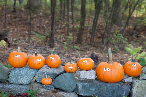 Calabazas de Halloween en las rocas
 - Foto, imagen