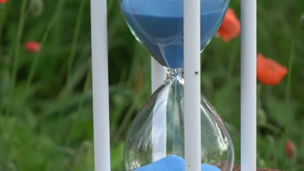Zandloper sandglass met blauw zand beweging en oranje poppy bloesems in de tuin - Video