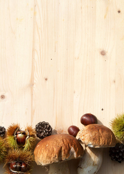 mushrooms with chestnuts - Foto, Imagem