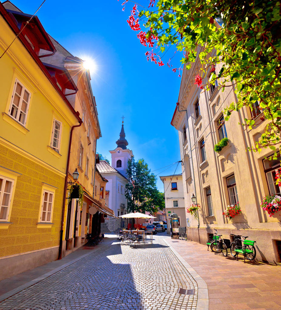 Macskaköves régi utca és az egyház Ljubljana függőleges megtekintése - Fotó, kép