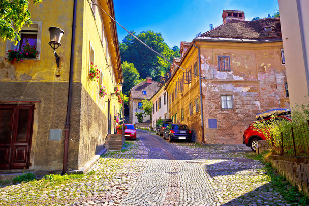Vieille ville de Ljubljana trottoir pavé de la haute ville
 - Photo, image