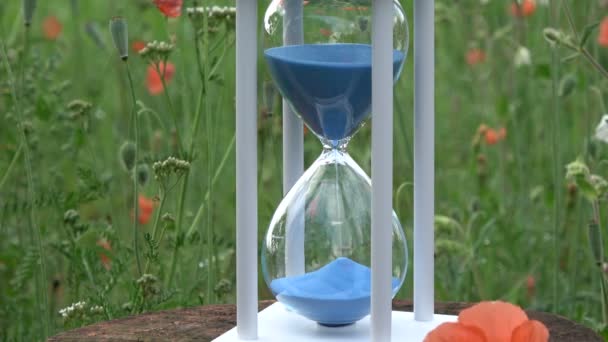 Hourglass with blue sand motion  and  poppy blossoms in garden - Footage, Video