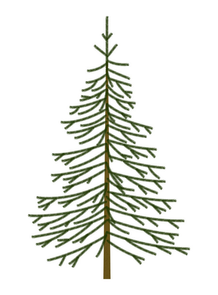 Christmas tree fir object - Vector, Image