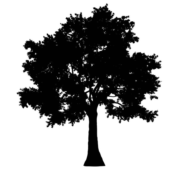 tree side view silhouette isolated - black - vector - Vector, Image