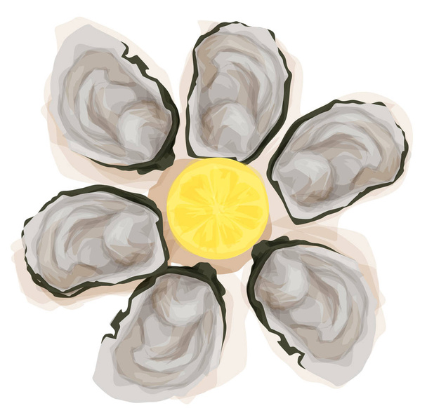 Ústřice s kouskem citronu ilustrace - Vektor, obrázek
