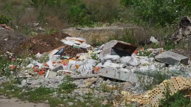 Garbage dump ecology - Footage, Video