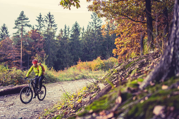 Mountain biker riding cycling in autumn forest - Photo, Image
