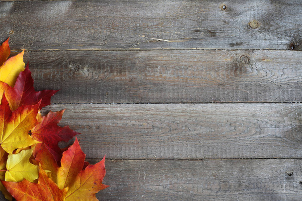 Marco de hojas de otoño sobre fondo de madera
 - Foto, imagen