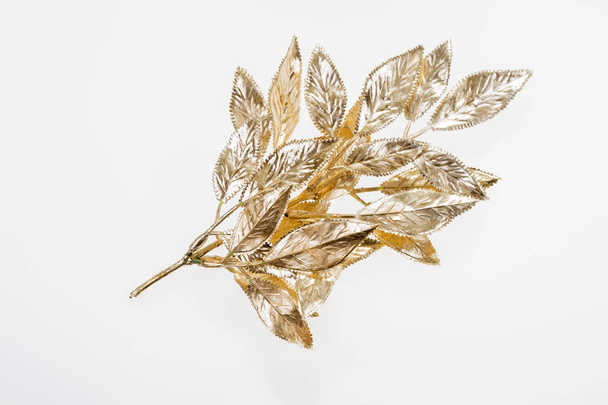 Beautiful painted golden mistletoe isolated - Foto, immagini