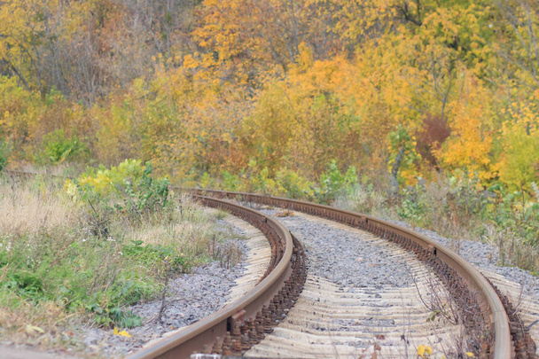 Železniční nebo tramvajové koleje v krásné podzimní mlze parku. vlhkost, světlé teplé podzimní barvy - Fotografie, Obrázek