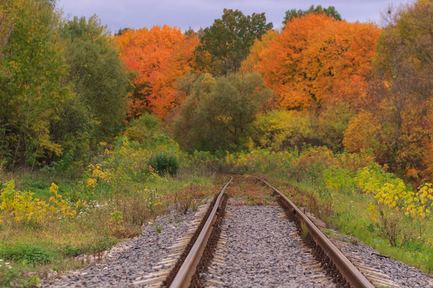 美しい秋の公園霧の鉄道又は軌道の線路。湿気、明るい温かみのある秋の色 - 写真・画像