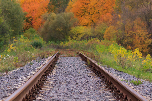 美しい秋の公園霧の鉄道又は軌道の線路。湿気、明るい温かみのある秋の色 - 写真・画像