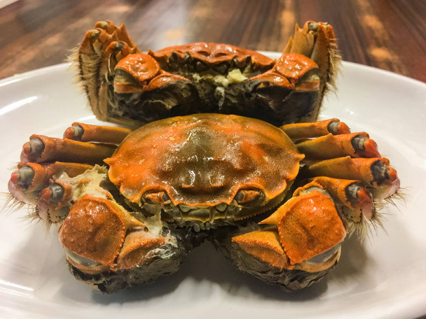 Shanghai queen Crab Chinese Cuisine, Autumn Winter delicacy - Photo, Image