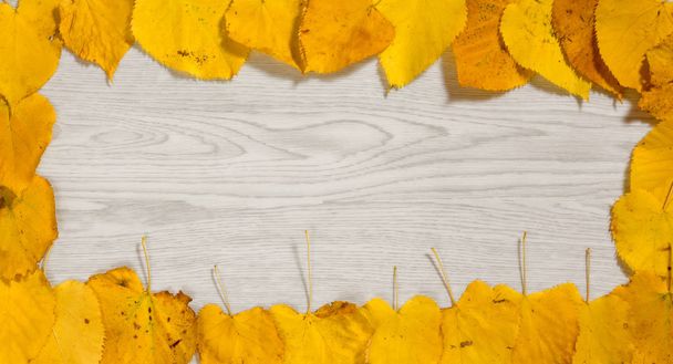 Yellow Autumn Leaves on a Wooden Background - Foto, immagini