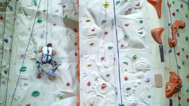 child climbs on a special wall for mountaineering. the girl of seven years in safety equipment is engaged in rock climbing on a special training vertical wall, - Footage, Video