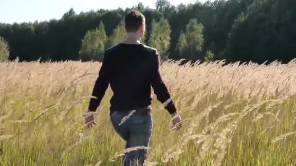 Young Man Walking and Raising Hands in the Field - Filmagem, Vídeo