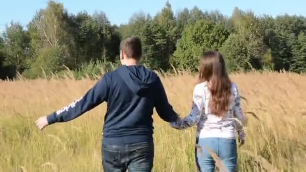 Couple walking in a field and holding hands at sunset. Filmed in slow motion. - Felvétel, videó