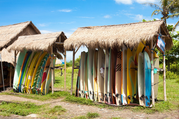 Surfboards in rack - Fotoğraf, Görsel