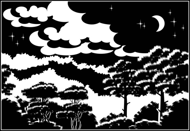 Wald bei Nacht - Vektor, Bild