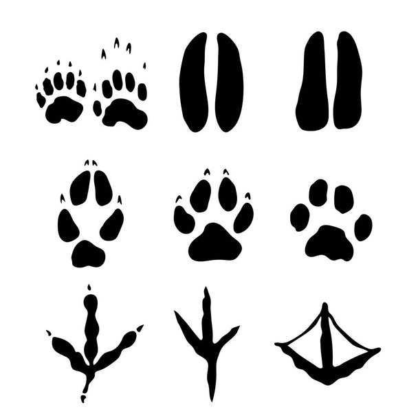 Zestaw ssaków i ofert Footprints - ilustracja wektorowa - Wektor, obraz