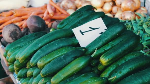 Νόστιμα φρέσκα αγγούρια ντομάτες και άλλα λαχανικά με τιμή ετικέτες ψέμα στον πάγκο αγορά - Πλάνα, βίντεο