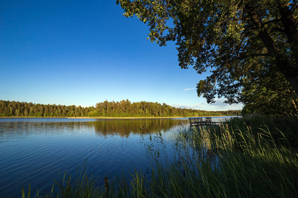 Summer landscape lake in the forest - Photo, Image