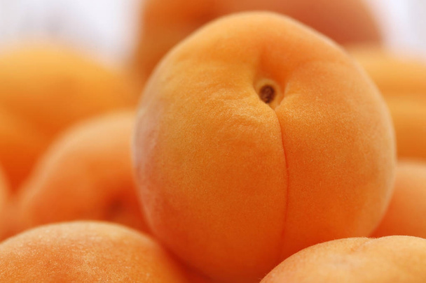 Closeup of Apricot - Photo, Image