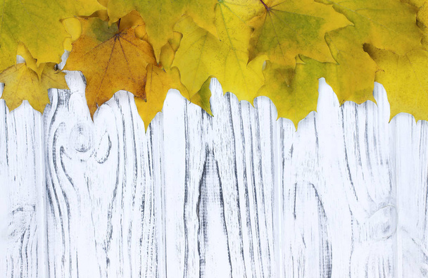 Folhas de outono amarelo sobre fundo de madeira com espaço de cópia
. - Foto, Imagem