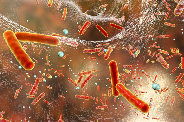 multiresistente Bakterien in einem Biofilm - Foto, Bild