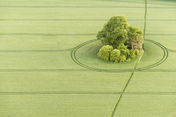 Widok z lotu ptaka krajobraz Buckinghamshire - Zdjęcie, obraz