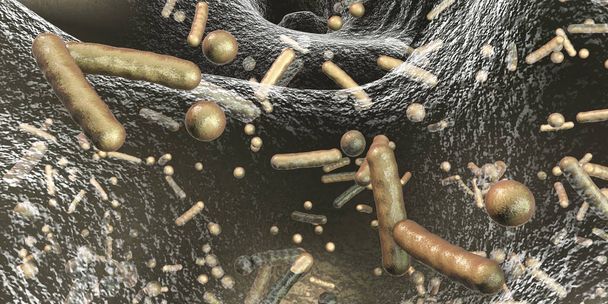 Bactéries résistantes aux antibiotiques dans un biofilm
 - Photo, image