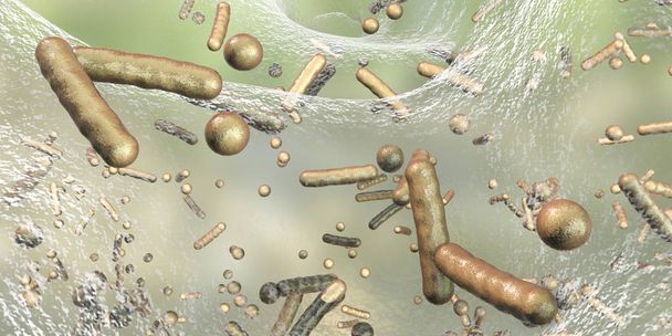 バイオ フィルムの中の抗生物質耐性菌 - 写真・画像