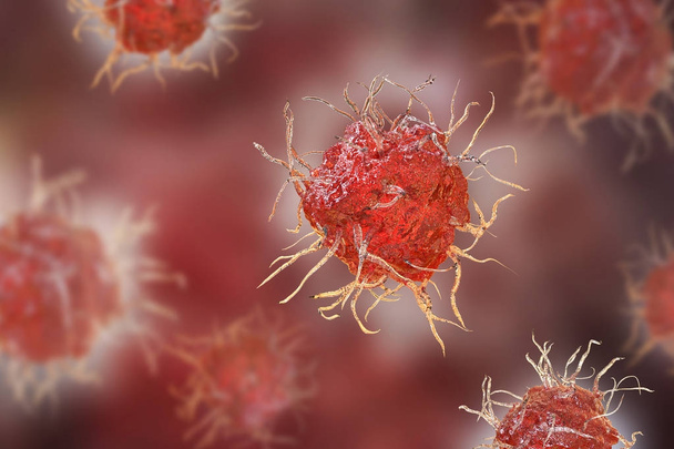 Dendriittisolu, antigeenia esittelevä immuunisolu
 - Valokuva, kuva