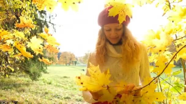 ευτυχισμένος κορίτσι Καυκάσιος ποζάρει με maple φύλλα στον ήλιο - Πλάνα, βίντεο