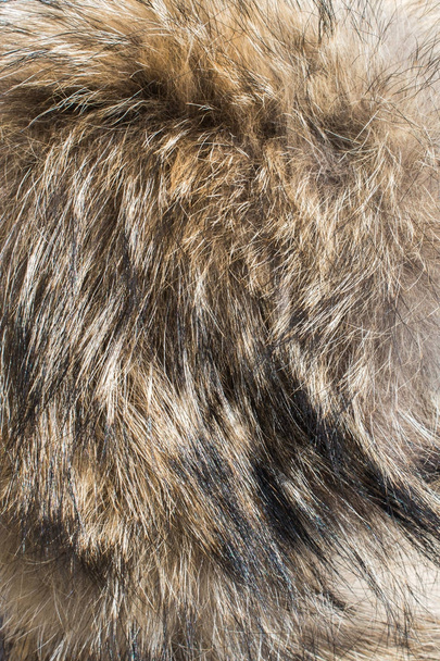 Dekoratív állati szőr, mint a háttér  - Fotó, kép