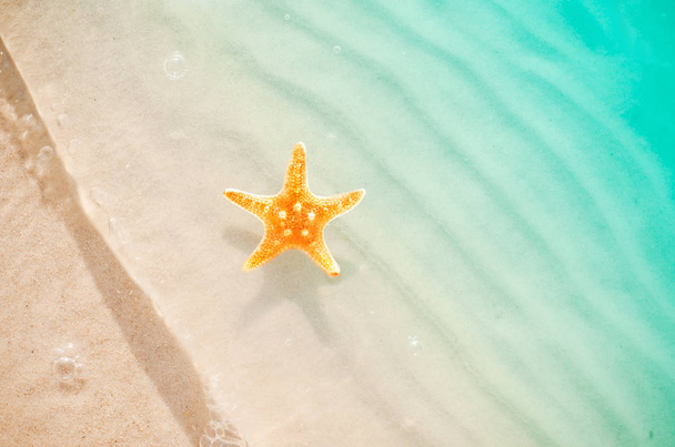 starfish on the summer beach with sand - Photo, Image