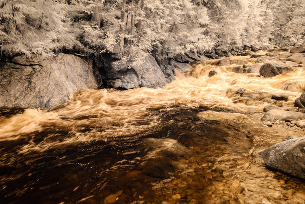 гірській річці посеред лісу в Словаччині. Осінні кольори. інфрачервоний im - Фото, зображення