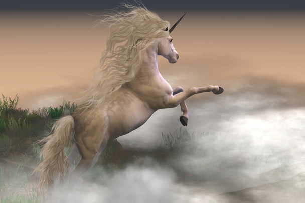 Misty berg Unicorn - Foto, afbeelding