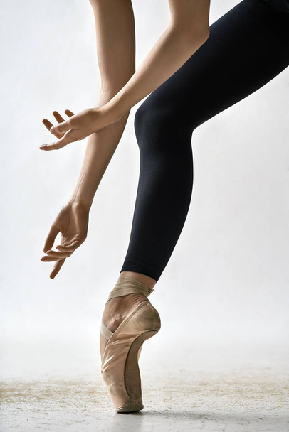 Ballet dancer posing in studio - Φωτογραφία, εικόνα