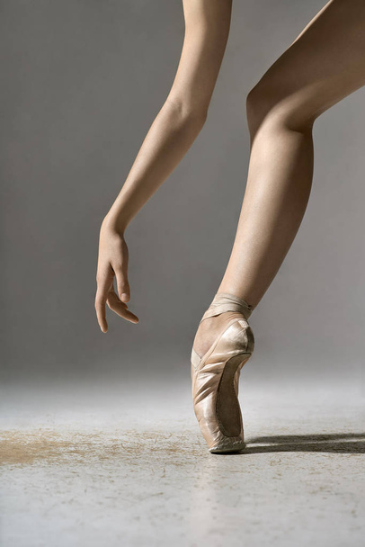 Ballet dancer posing in studio - Фото, зображення