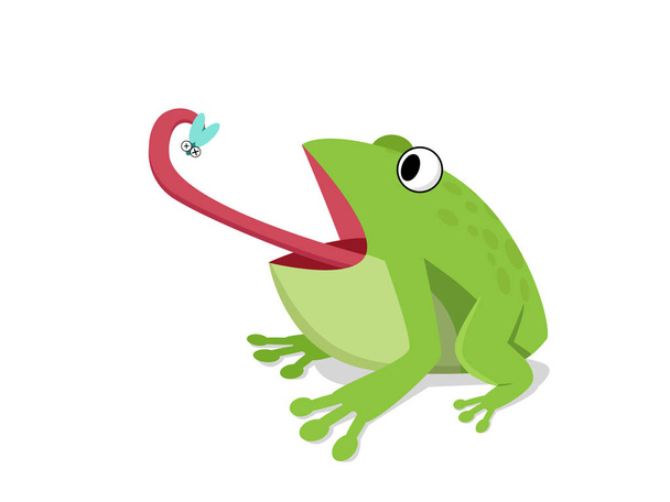 Vihreä sammakko syö hyönteinen valkoinen, sarjakuva vektori
 - Vektori, kuva